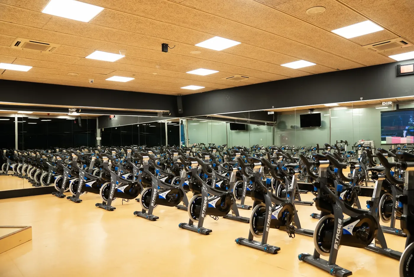 DiR Av Madrid spindir studio