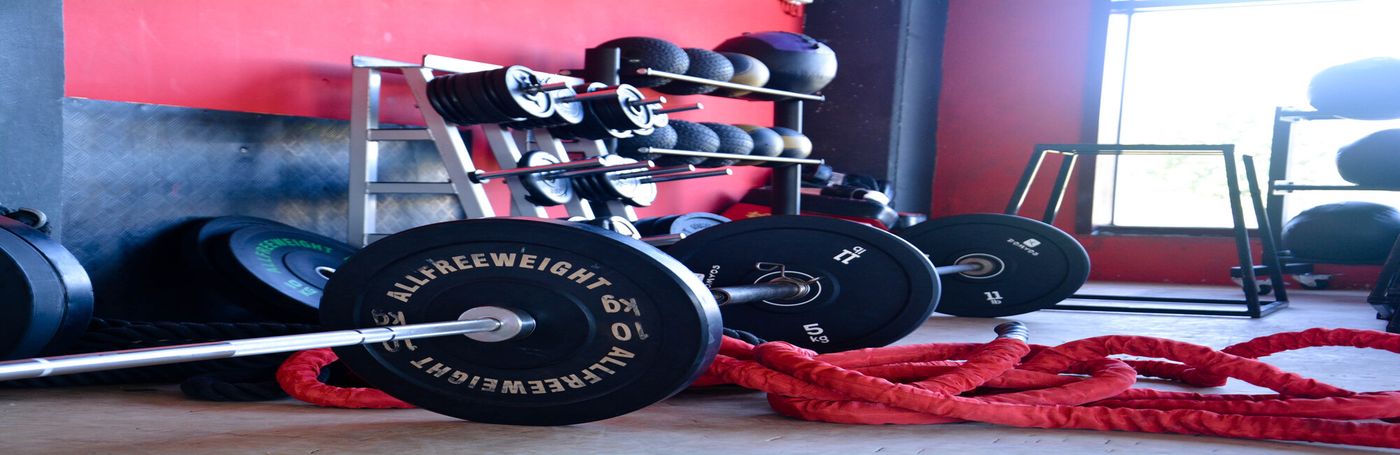 Paradise Zona Musculación.jpg